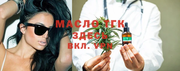 шишки Аркадак