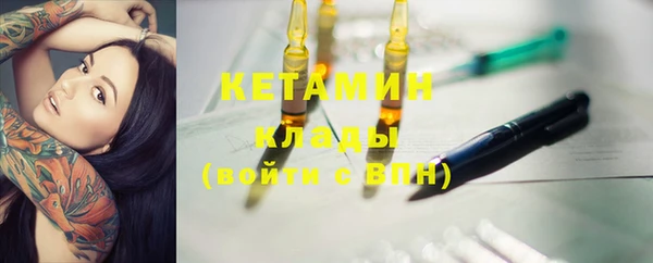 шишки Аркадак