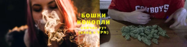 шишки Аркадак