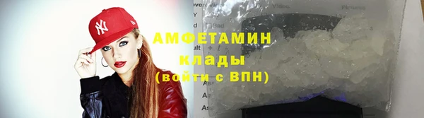 шишки Аркадак