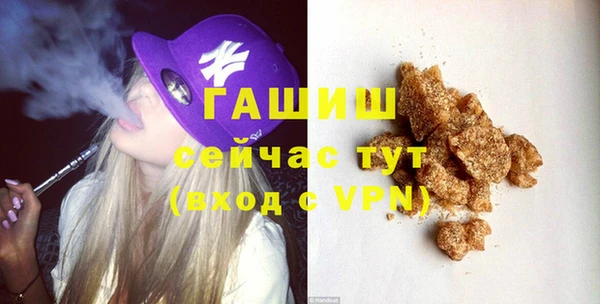 шишки Аркадак