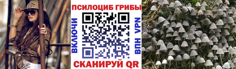 Галлюциногенные грибы Magic Shrooms Тырныауз
